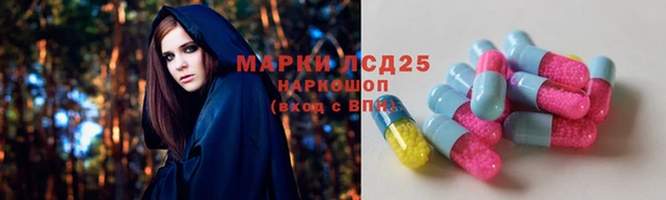 индика Балабаново