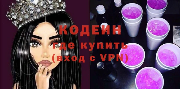 индика Балабаново