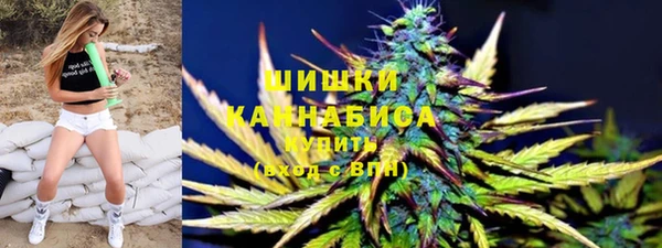 индика Балабаново