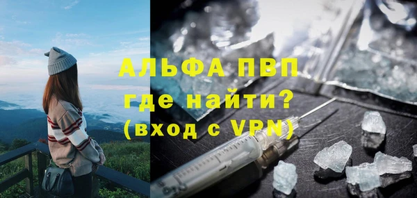 индика Балабаново
