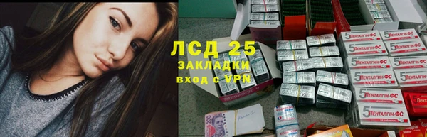 индика Балабаново