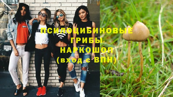 индика Балабаново