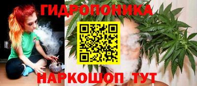 ешки Можга
