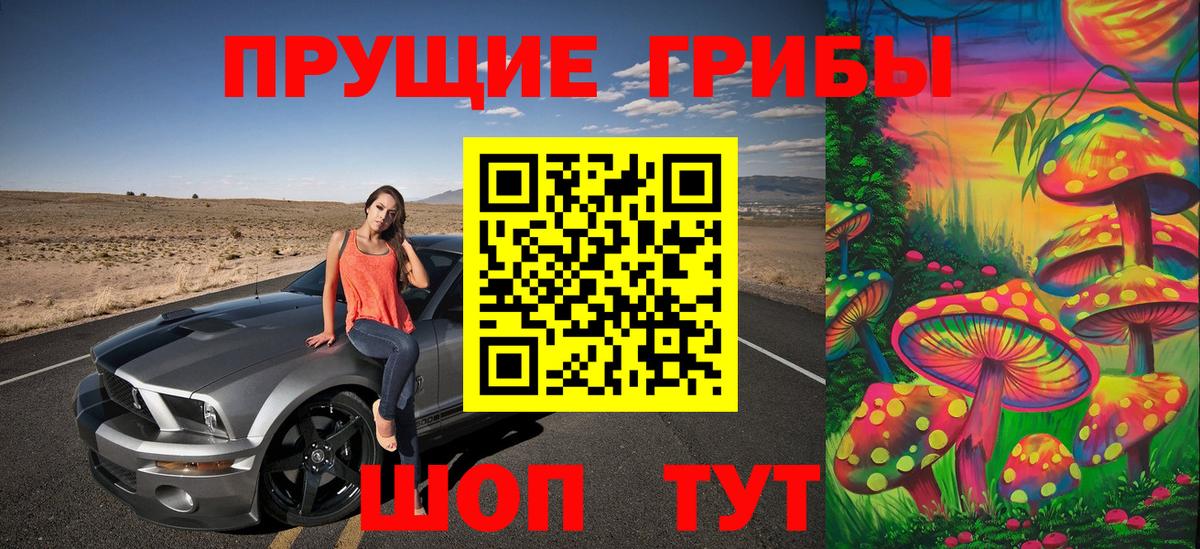 Псилоцибиновые грибы мицелий Горячий Ключ
